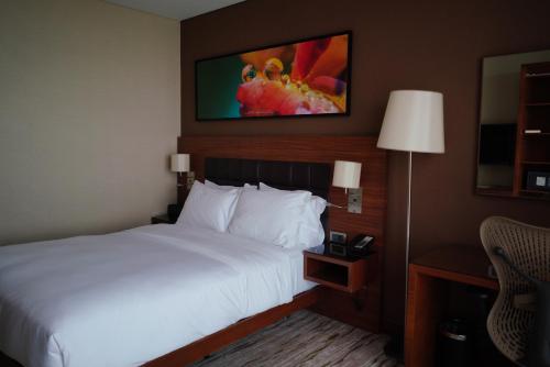 a hotel room with a bed and a tv on the wall at DoubleTree by Hilton Trabzon in Trabzon