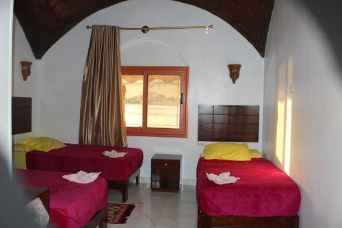 a room with two beds and a window at Nile View Guest House in Aswan