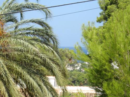 a view of the ocean from between two palm trees at "VILLA VISTA JAVEA" - Habitaciones vacacionales in Jávea