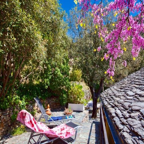 - deux chaises assises dans une cour arborée dans l'établissement Les Gîtes du Cap Corse, à Nonza