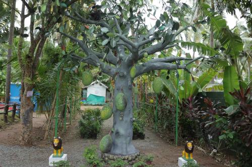 Kuttralam Resorts – Photos 5