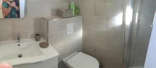 a bathroom with a toilet and a sink and a shower at Casa Basgiu, chambres avec balcon in Zilia