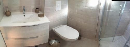 a bathroom with a toilet and a sink and a shower at Casa Basgiu, chambres avec balcon in Zilia