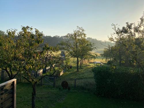 a group of cows grazing in a field with trees at B&B Het Zwarte Schaap in Albergen
