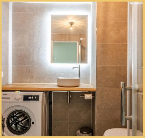 Collonges-sous-Salève的住宿－Appartement T2 Moderne Neuf Collonge，一间带洗衣机和水槽的浴室