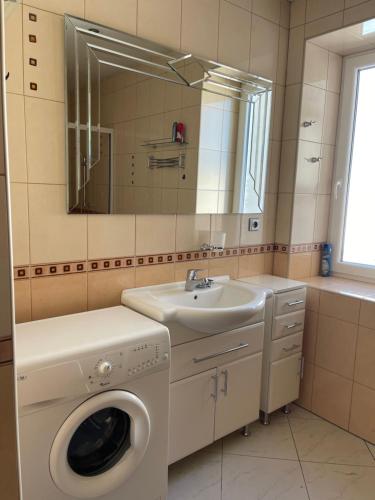 a bathroom with a washing machine and a sink at Apartmán Ahava in Třebíč