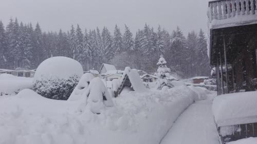 Ferienwohnung in Antonshöhe, Nahe Stoneman kapag winter