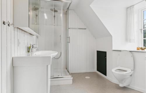 a white bathroom with a toilet and a sink at Nice Home In Rm With 4 Bedrooms in Rømø Kirkeby