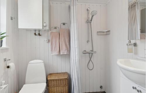 a bathroom with a toilet and a sink and a shower at Beautiful Home In Vig With Wifi in Vig