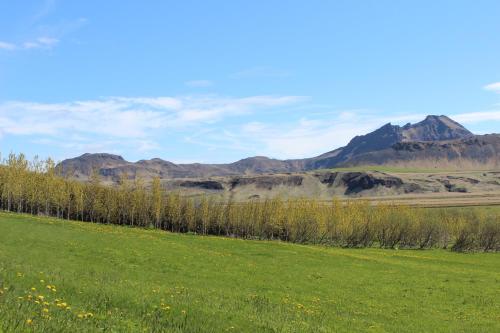 a field with green grass and mountains in the background at Skammidalur Guesthouse in Vík