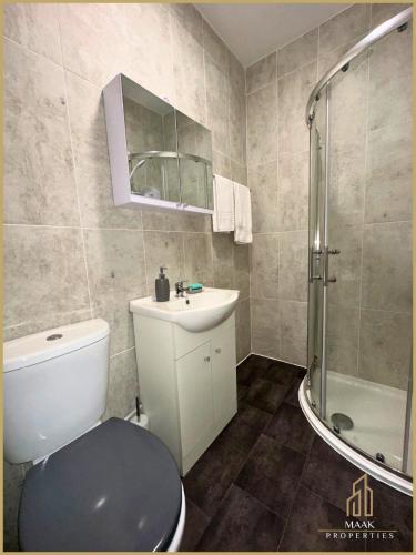 a bathroom with a toilet and a sink and a shower at Minehead Suite in Minehead