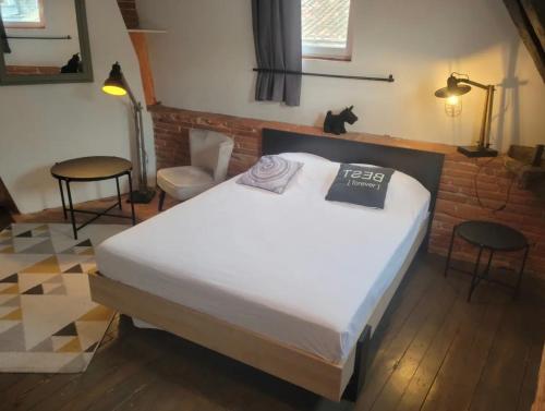 une chambre avec un lit et un chat assis dessus dans l'établissement Le Colombier - A deux pas du square Charles de Gaulle, à Toulouse