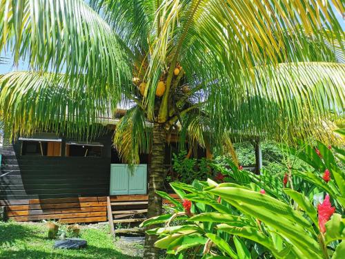 una palmera frente a una casa en Gîte 1001 Nuits - SHERAZADE, en Bouillante