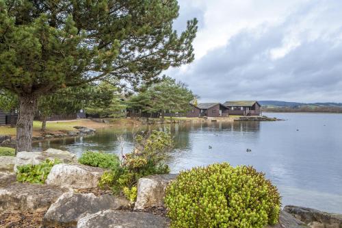 a house on a lake with ducks in the water at Pine Lake Resort in Carnforth