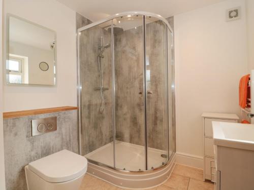 a bathroom with a shower with a toilet and a sink at The Nest in Bridgwater