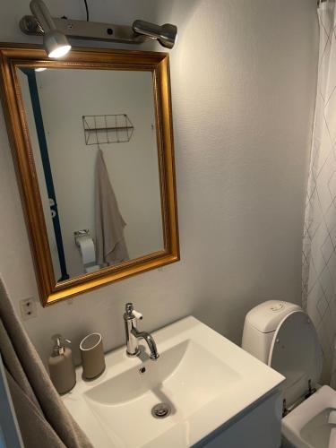 a bathroom with a sink and a mirror and a toilet at Hotel Vin & Gastro in Aabenraa