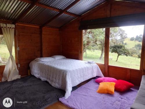 1 dormitorio con 1 cama y 2 almohadas frente a una ventana en CABAÑAS ALASKA, en Sesquilé
