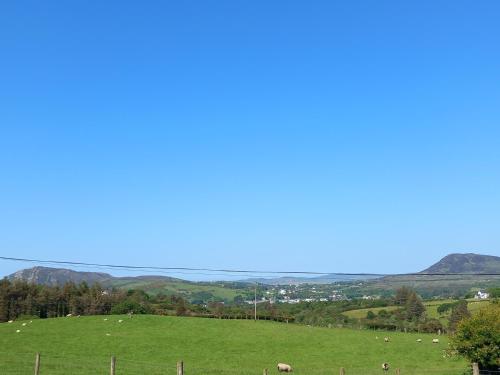 a field of sheep in a field with mountains in the background at Havana Holiday Cottage Inishowen 