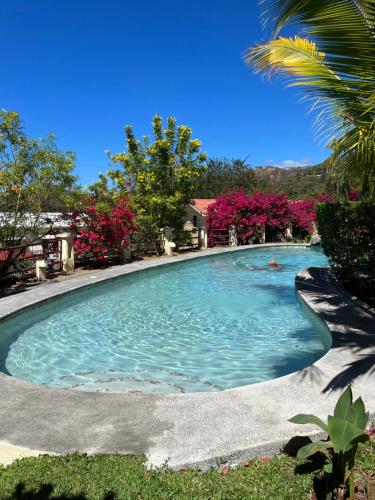 Coco Beach Bliss Your Tropical Hideaway – Photos 2