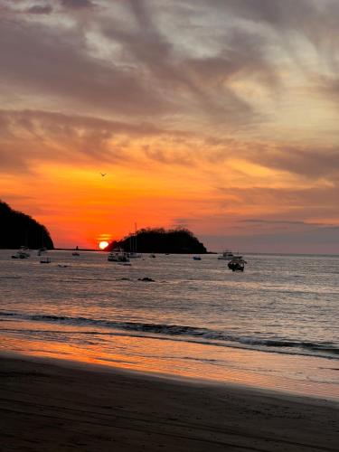 Coco Beach Bliss Your Tropical Hideaway – Photos 3