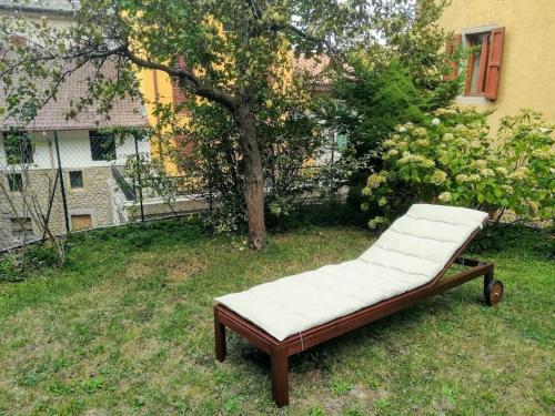 a bench sitting in the grass next to a tree at Appartamento Poli con giardino in Castiglione dei Pepoli
