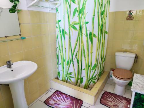 een badkamer met een douchegordijn, een toilet en een wastafel bij Gîtes TAINACO in Vieux-Habitants