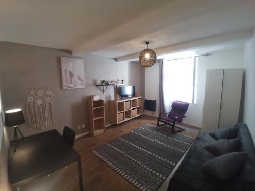 un salon avec un canapé et une télévision dans l'établissement Narbonne Domitia centre ville, à Narbonne