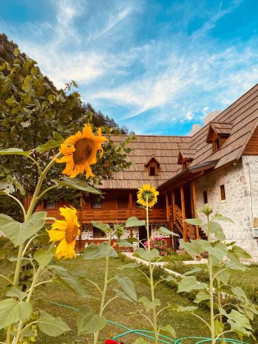 a house with a field of sunflowers in front of it at Guesthouse Prrockaj Theth in Theth