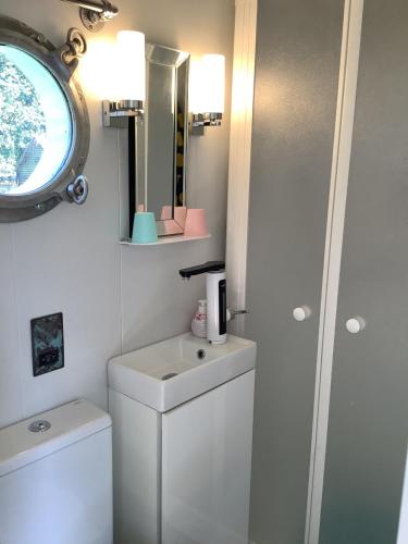 a bathroom with a sink and a toilet and a mirror at Muffins Meadow Shepherds Hut in Tillingham