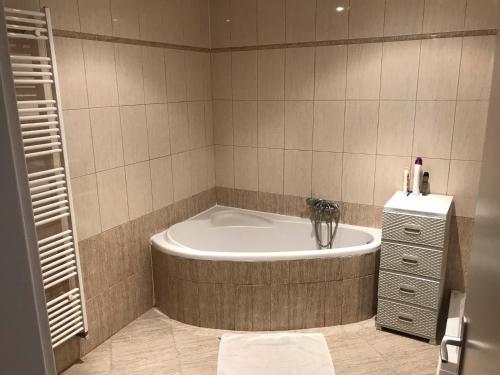 Kylpyhuone majoituspaikassa Apartmán Neva Gbely