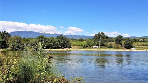 vacances en provence olivier