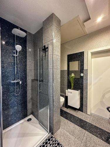 a bathroom with a shower and a toilet at Ebony & Ivory Ferienwohnung in Steinhude