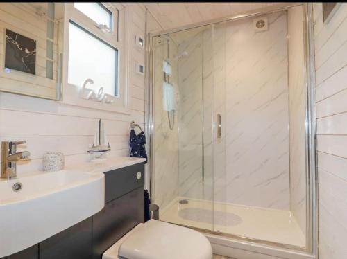 a bathroom with a shower and a toilet and a sink at Saint Chads Lodge Near EDEN Luxulyan in Luxulyan