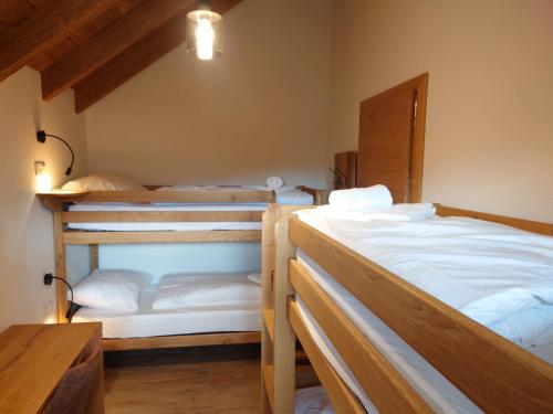 a room with two bunk beds in a room at AlpiNest Feriendorf Lungau in Mariapfarr