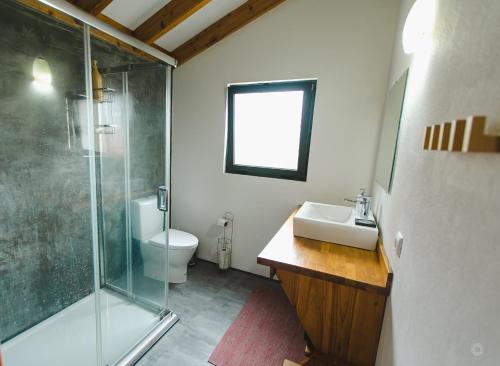 Un baño con ducha, lavabo e inodoro. en Casa da Petra, en Urzelina