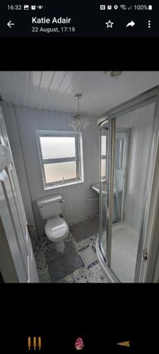a bathroom with a toilet and a shower and a window at peaceful one bedroom apartment in Antrim