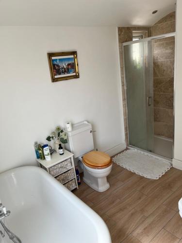 a bathroom with a toilet and a shower and a tub at Peaceful London Retreat in London