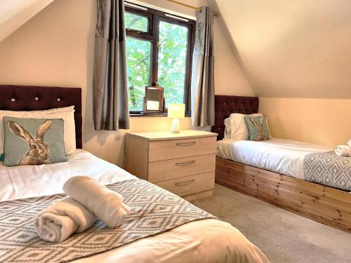 a attic bedroom with two beds and a window at PrancingHare Lodge-Woodland Lodges-Pembrokshire in Carmarthen