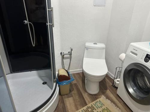 a bathroom with a toilet and a washing machine at Уютная квартира in Almaty