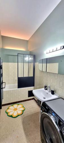 une salle de bain avec un lavabo et une machine à laver dans l'établissement Loft Vintage - Hypercentre - Metro - WIFI, à Toulouse