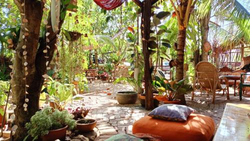a garden with a bunch of plants and trees at Monsoon Eco Resort - Whisky point Arugambay in Pottuvil