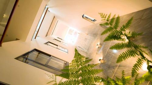 a view of a room with a window and a plant at Bel-air Hotel in Quy Nhon