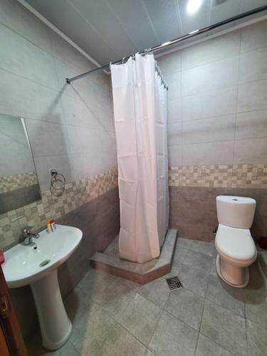 ein Bad mit einem WC, einem Waschbecken und einer Dusche in der Unterkunft Gogi's Paradise Guesthouse in Akhmety