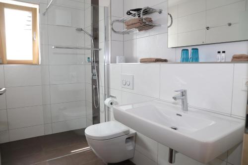 a bathroom with a sink and a toilet and a shower at Leidringer Gästehaus GmbH in Rosenfeld