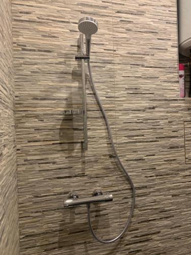 une douche avec pommeau de douche dans une salle de bain dans l'établissement Jolie maisonnette Nancy centre, à Nancy