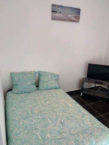 une chambre avec un lit et une télévision à écran plat dans l'établissement Jolie maisonnette Nancy centre, à Nancy