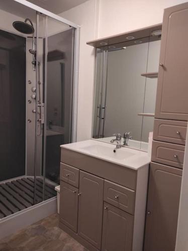 une salle de bain avec un lavabo et une douche en verre dans l'établissement Maison proche du Mont Saint Michel (10mn) 4/5 pers, à Pontorson