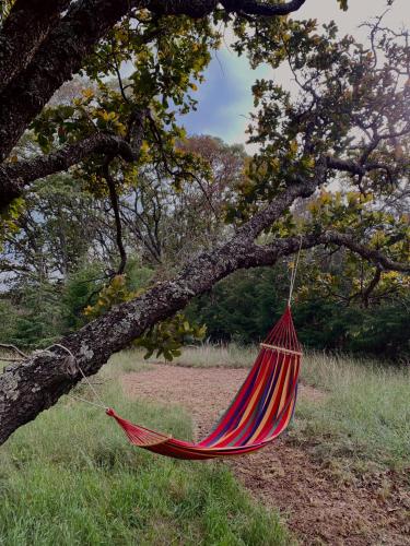 RANCHO LOS SIETE – Photos 5
