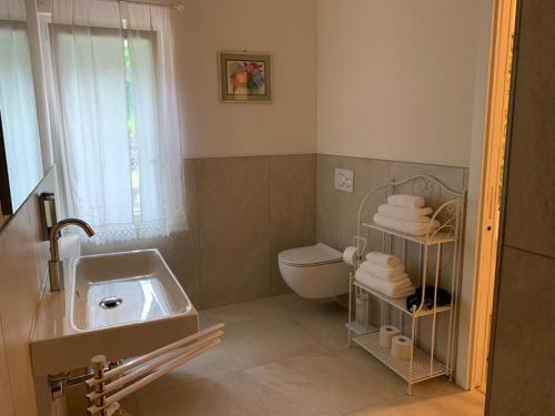 a bathroom with a sink and a toilet at Villa Marta bed and breakfast in Gussago