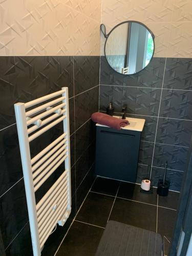 une salle de bain avec un lavabo et un miroir dans l'établissement Belle maisonnette au cœur de Nancy centre, à Nancy